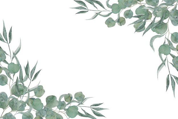 watercolor hand painted green floral card with eucalyptus leaves and branches