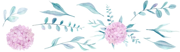 水彩手描きピンクの花アジサイ