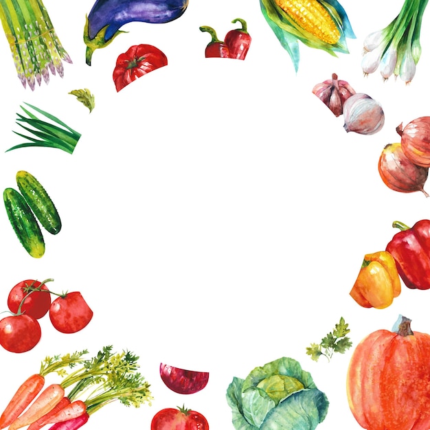 Watercolor hand painted vegetables frame Food design illustration isolated on white background