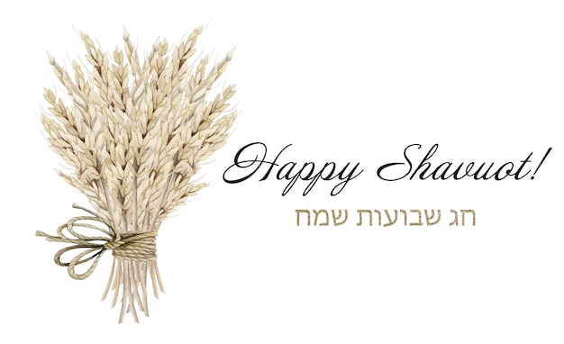 Watercolor Happy Shavuot greeting banner with Hebrew Chag Sameach illustration Rural wheat bouquet