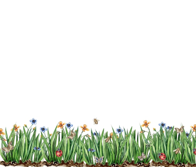 Watercolor horizontal seamless background with grass insects and flowers