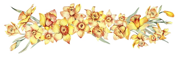 Watercolor horizontal seamless background with narcissus
