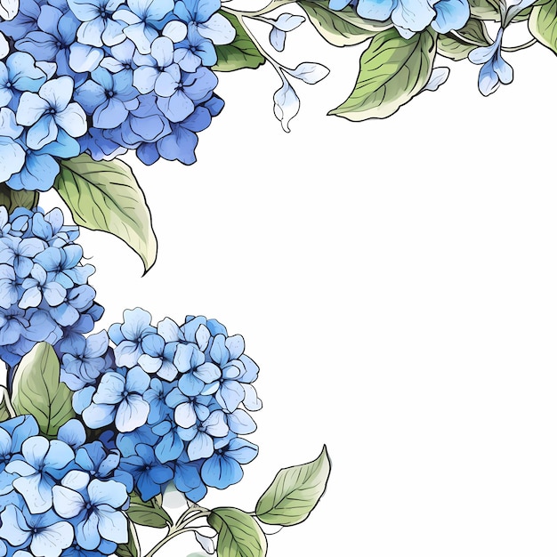 Watercolor hydrangea isolated on white banner with place for text