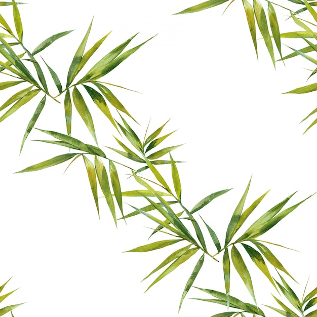 Watercolor illustration of bamboo leaves 