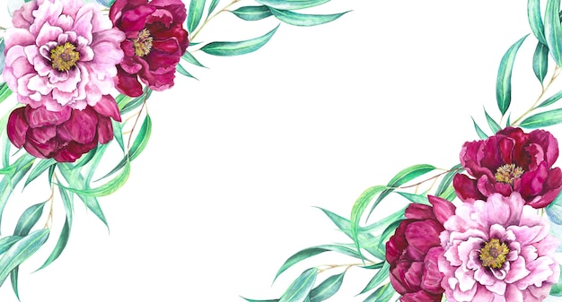 Watercolor illustration banner of peony in pink magenta and eucalyptus isolated on white background