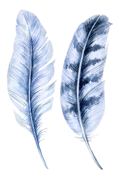 Watercolor illustration of bird feather with spotes grey and blue color hand drawn sketch isolated on white background