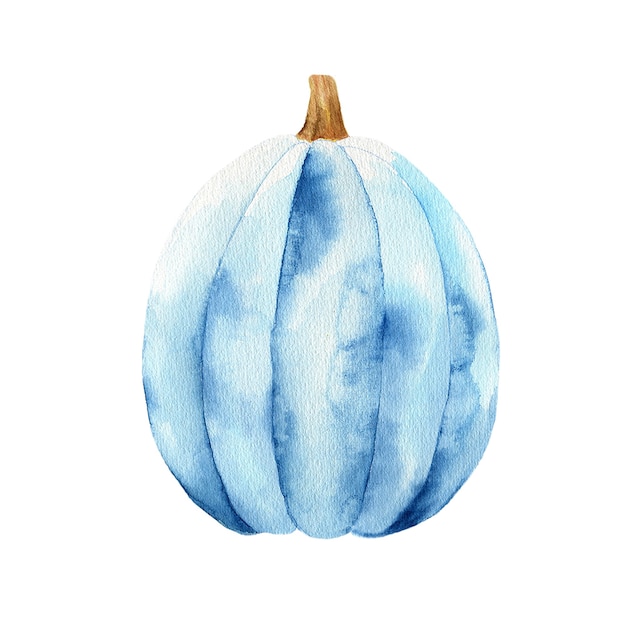 Watercolor illustration of a blue pumpkin