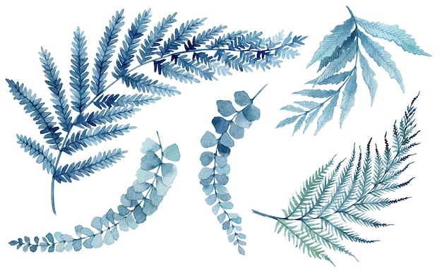 Photo watercolor illustration of blue tropical leaves, green branches, fern