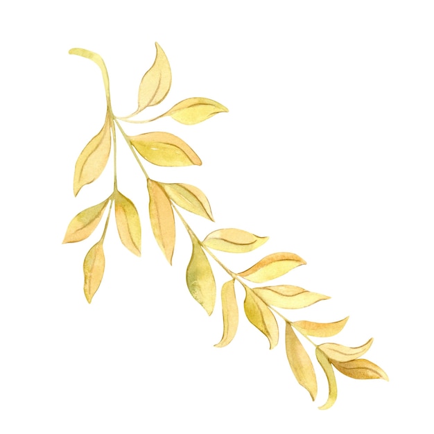 Watercolor illustration of a branch with leaves.