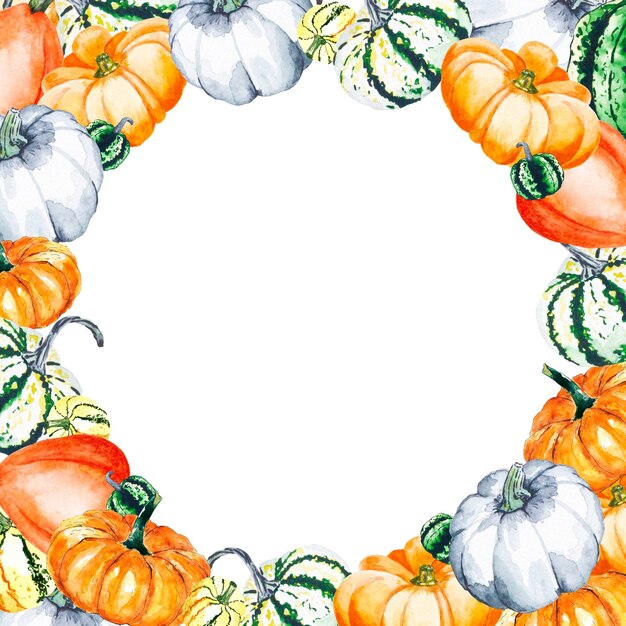 Watercolor illustration of bright pumpkins on a white background watercolor frame of vegetables