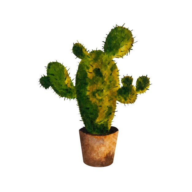 Photo watercolor illustration of a cactus in a brown pot homemade green flower with needles the