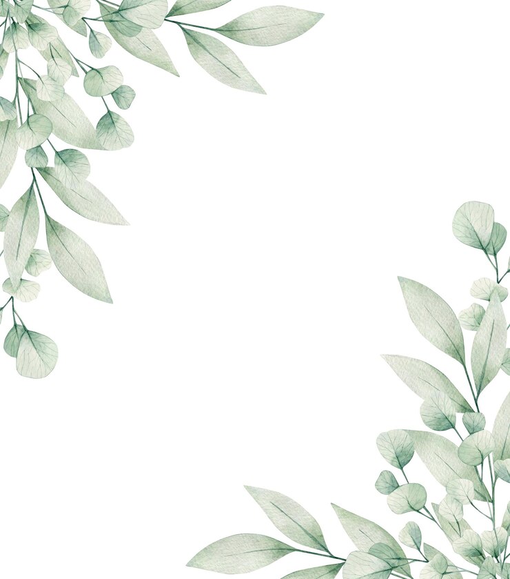 Photo watercolor illustration card eucalyptus branches frame. isolated on white background. hand drawn.