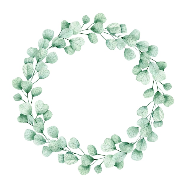 Watercolor illustration card green leaves eucalyptus wreath Isolated on white background