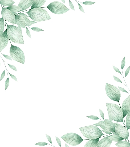 Watercolor illustration card green leaves frame Isolated on white background Hand drawn clipart