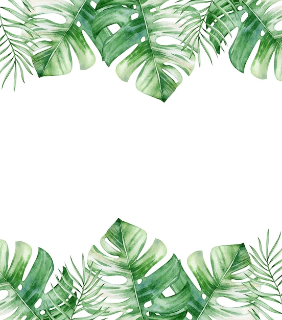 Scheda dell'illustrazione dell'acquerello con la scheda della cornice delle foglie tropicali di monstera isolata su fondo bianco