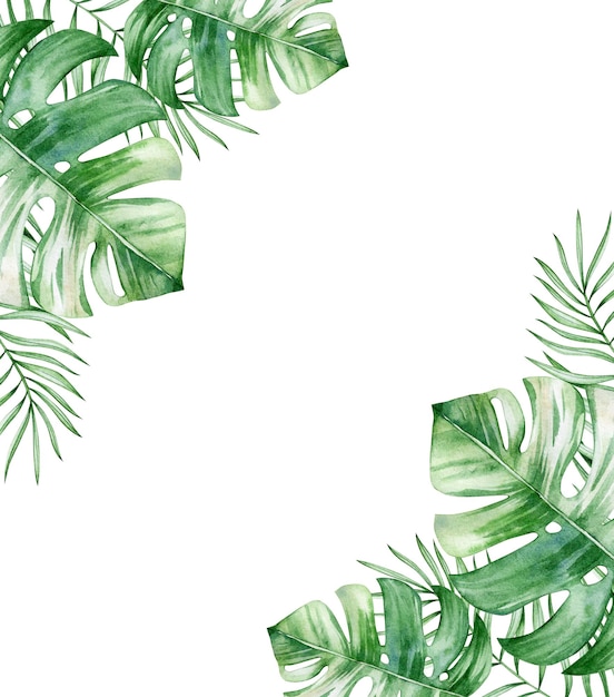 Carta di illustrazione ad acquerello con foglie tropicali monstera isolata su sfondo bianco disegnata a mano