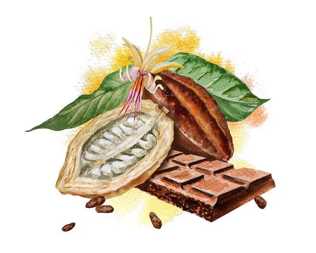 Foto illustrazione ad acquerello degli ingredienti del cacao al cioccolato con fagioli di cacao, baccelli di cacao freschi e massa di cacao