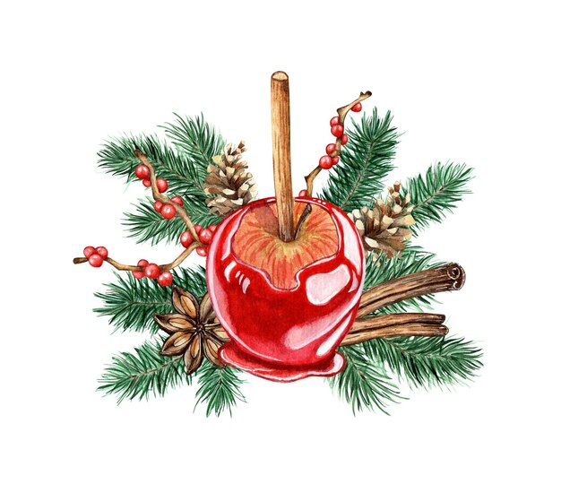 Photo watercolor illustration of a christmas apple in caramel fir branches pine cone branches with red berries cinnamon isolated composition for posters cards banners flyers covers