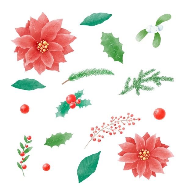 アクアカラーイラスト クリスマス 赤いポインセチア 美しい花束