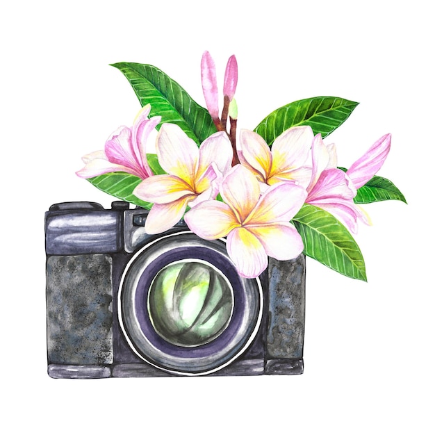 Watercolor illustration composition camera with plumeria flowers isolated on white background