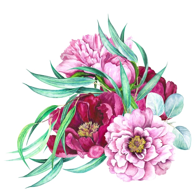 watercolor illustration composition of pink peonies eucalyptus leaves isolated on white background