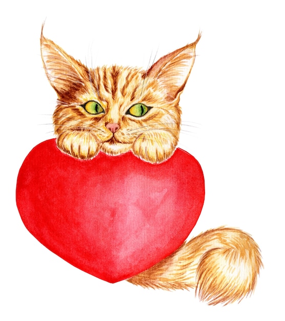 Watercolor illustration of a cute ginger kitten with a fluffy tail