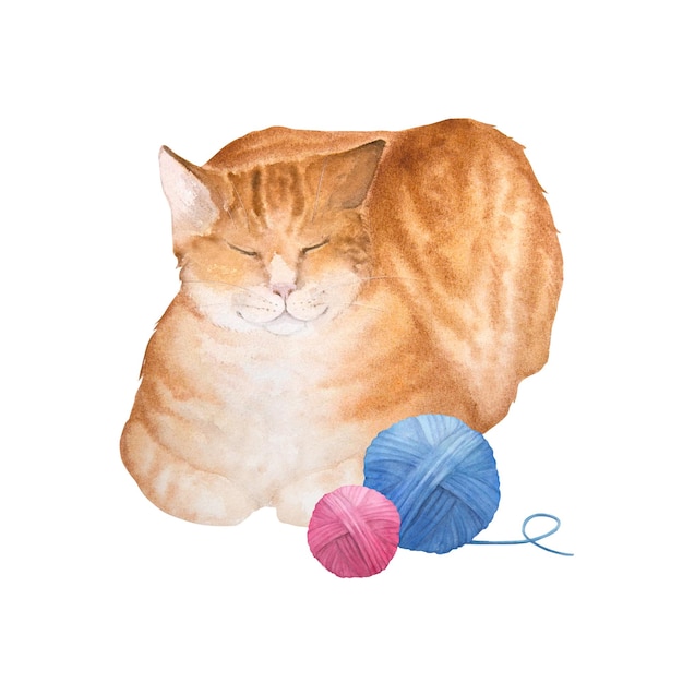 흰색 배경에 고립 된 clews와 귀여운 잠자는 빨간 tabby 고양이의 수채화 그림