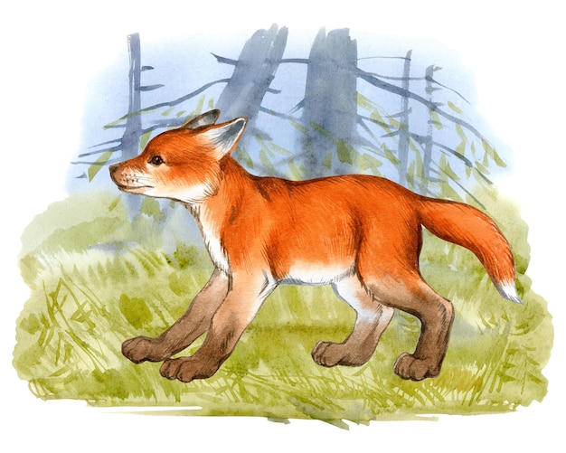 Watercolor illustration of fox cub on forest background