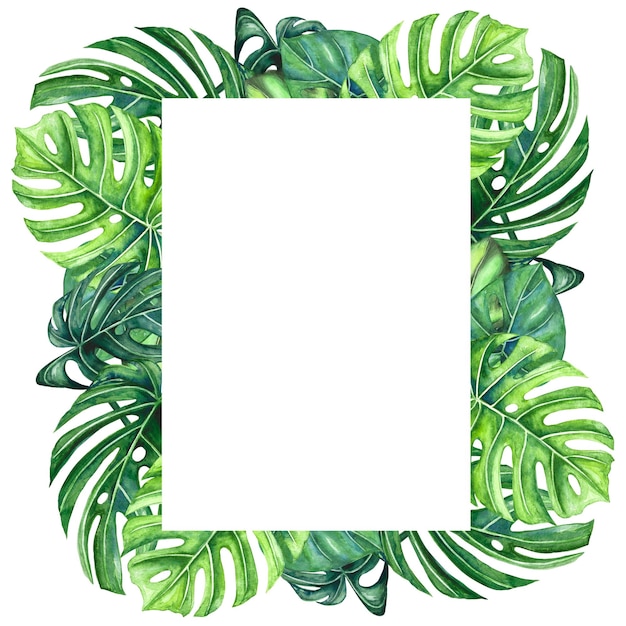 Photo watercolor illustration of a frame of green tropical leaves and monstera on a white background