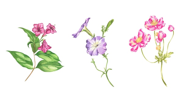 정원 꽃의 수채화 그림 여러 가지 빛깔의 꽃