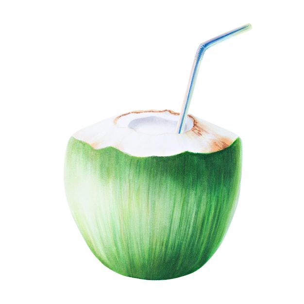 Watercolor illustration of green coconut with blue tube for drinks Beach cocktail with straw for coc