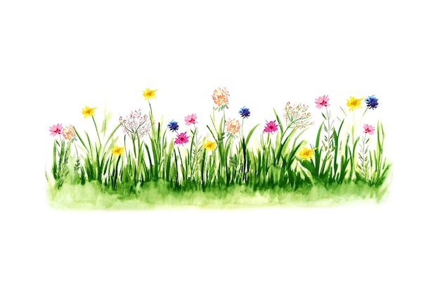 Watercolor illustration of green grass.