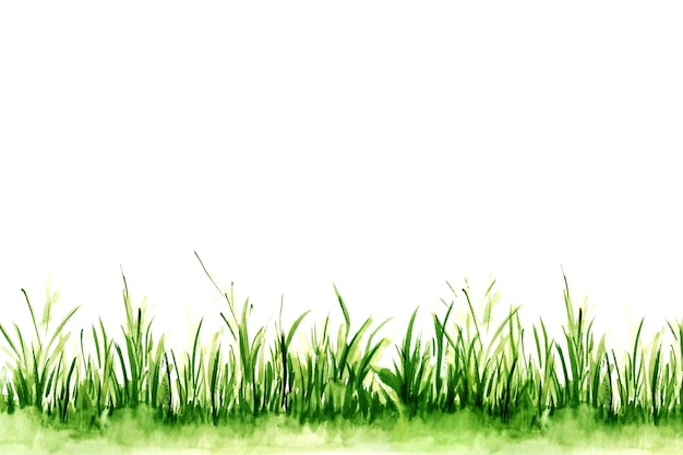 Watercolor illustration of green grass.