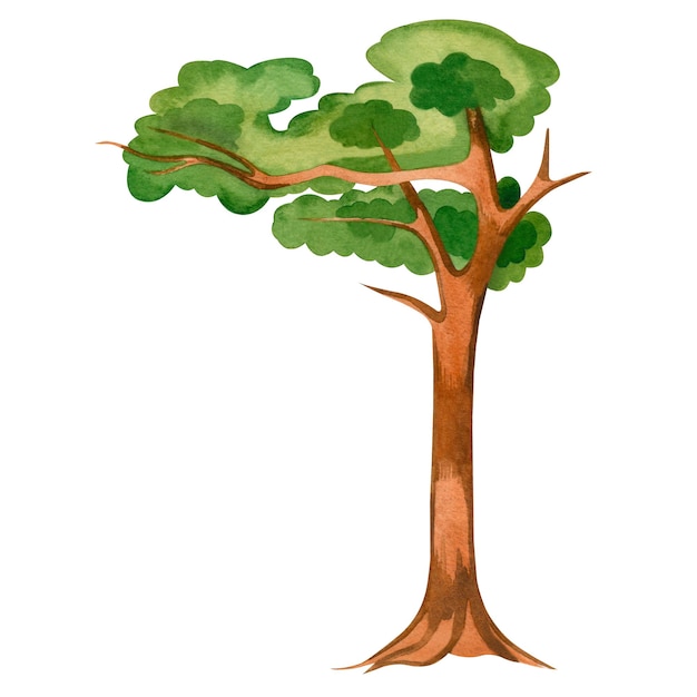 Watercolor illustration A green tree with a brown trunk painted in watercolor on a white background