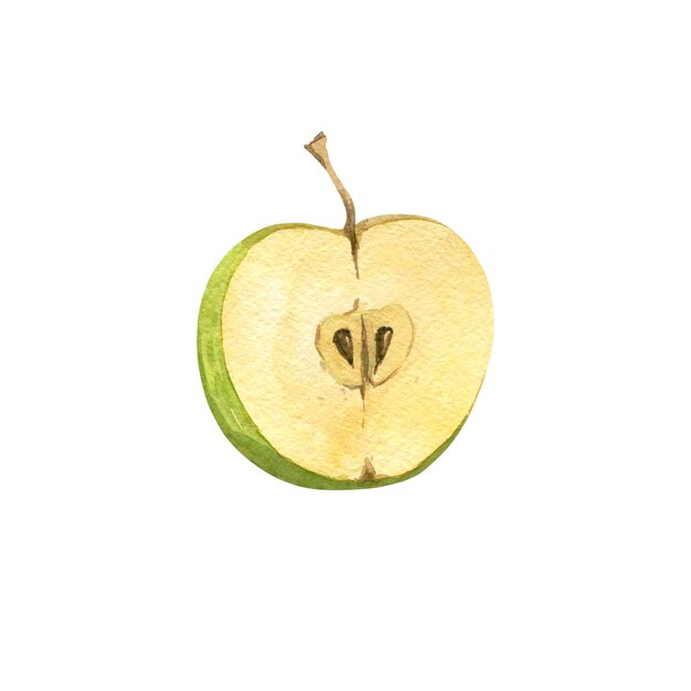 Foto illustrazione ad acquerello di mezza mela su sfondo bianco illustrazione isolata per design e creatività illustrazioni per produttori di succhi di frutta o yogurt