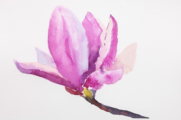 Watercolor illustration of hand painted seamless magnolia pattern