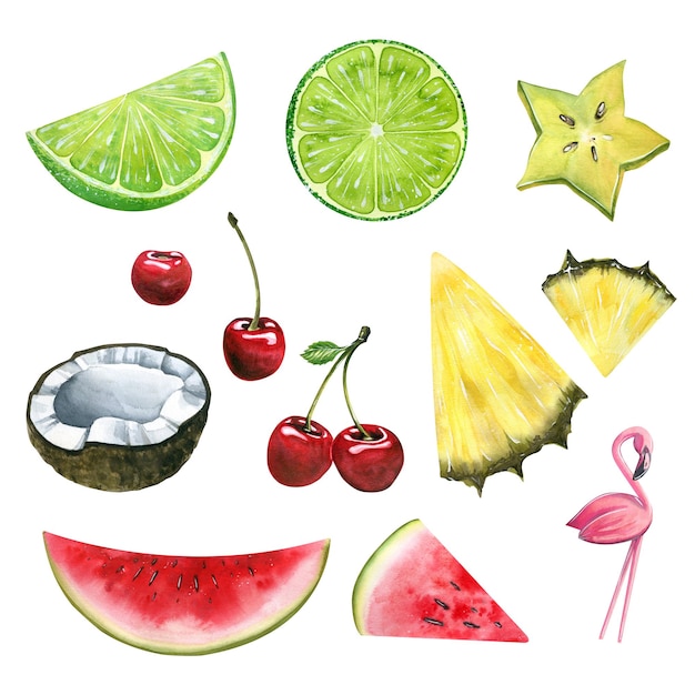 Watercolor illustration of handdrawn fruits and berries