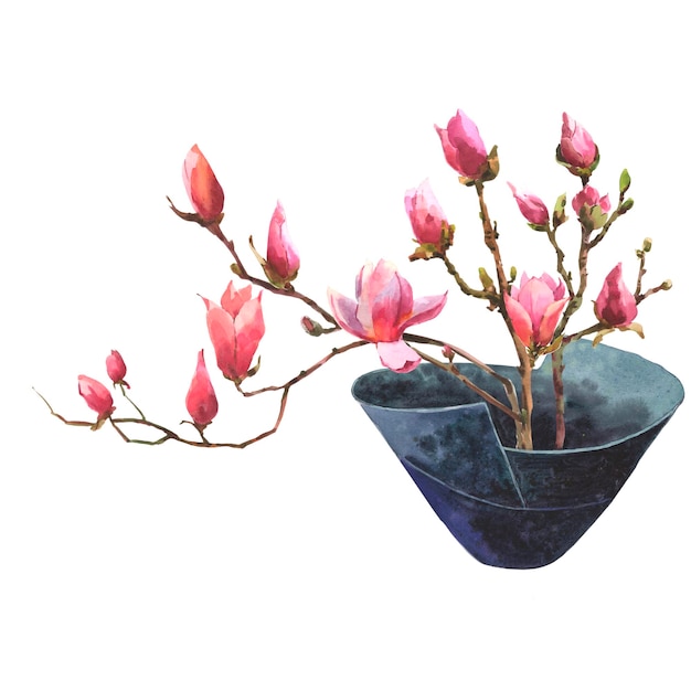 Watercolor illustration of a magnolia branch in a japan dack blue ceramic flowerpot isolated on a wh