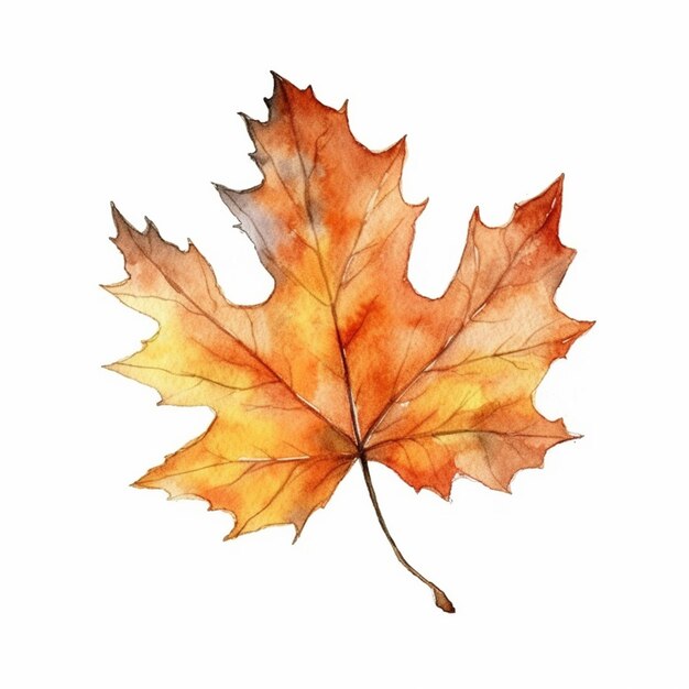 A watercolor illustration of a maple leaf.