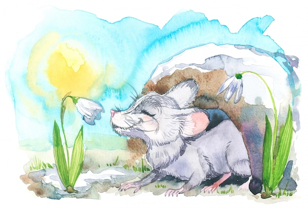 Photo watercolor illustration of mouse sniffs a snowdrop in spring