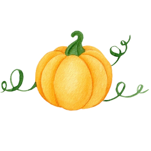 Watercolor illustration of an orange pumpkin