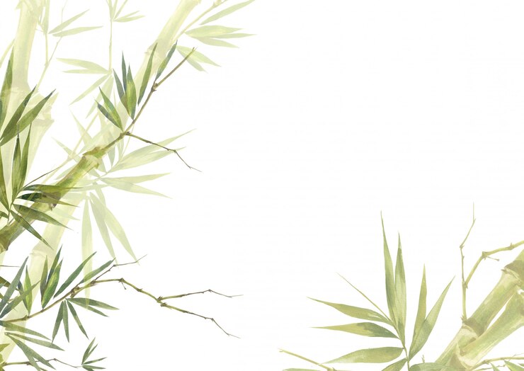 Photo watercolor illustration painting of bamboo leaves  background