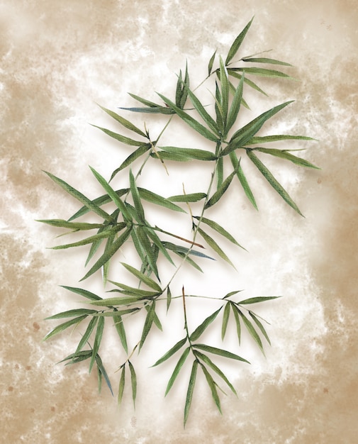 watercolor illustration painting of bamboo leaves