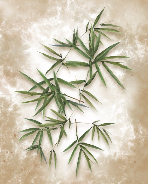 Watercolor illustration painting of bamboo leaves