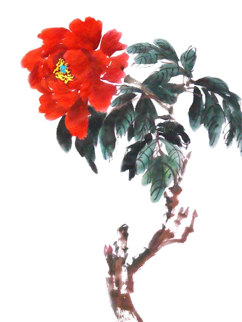 Акварельная иллюстрация цветка пиона традиционными китайскими тушью и мытьем