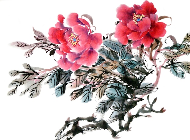 Photo watercolor illustration of peony flower traditional chinese ink and wash painting