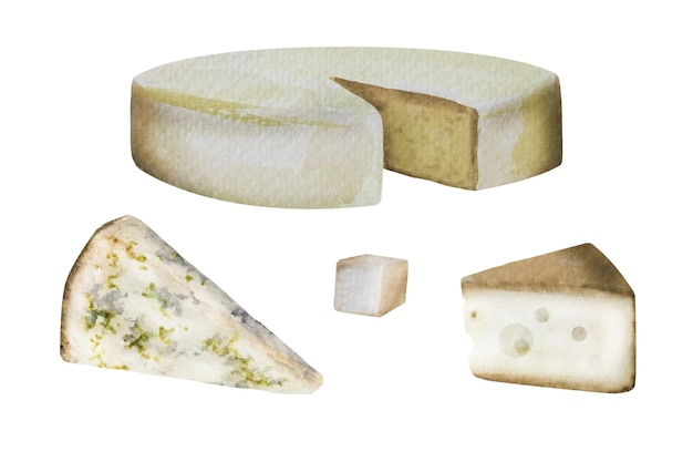다양한 품종의 치즈 조각의 수채화 일러스트레이션 맛있는 치즈조각 당신의 디자인을 위한 템플릿