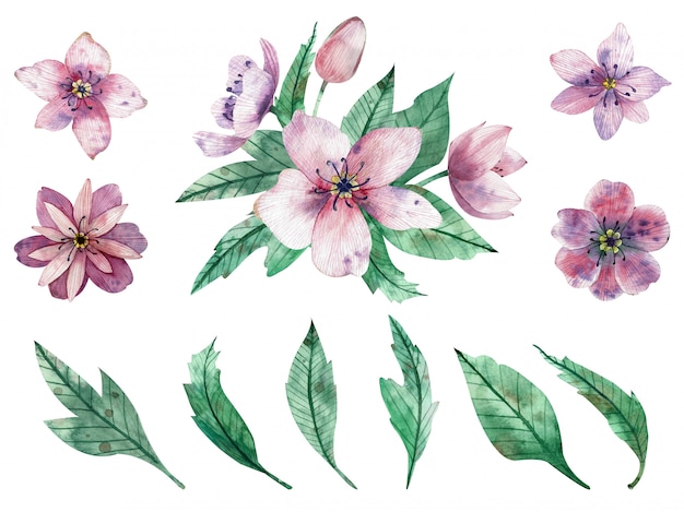 Акварельные иллюстрации розовых цветочных композиций и элементов