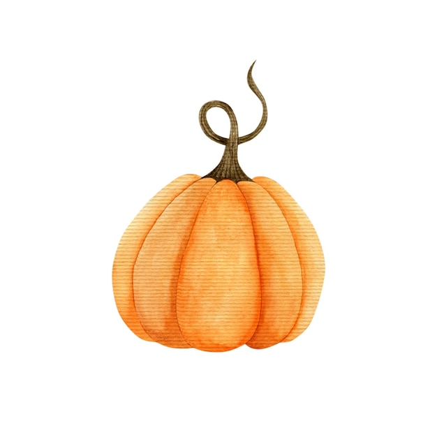 Watercolor illustration pumpkin