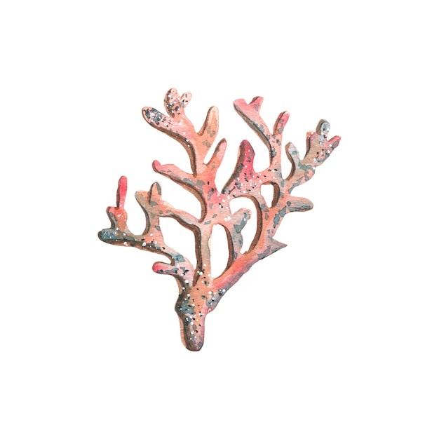 Watercolor illustration of a red coral isolated object on a white background